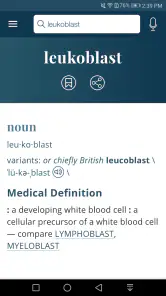 Dictionary - Merriam-Webster screenshot