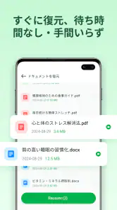 File Recovery Master screenshot