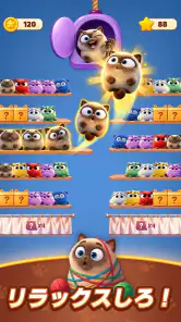 Meow Sort-Color Puzzle Master screenshot