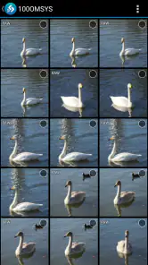 OM Image Share screenshot