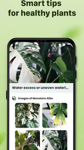Plantid: 植物識別AI screenshot