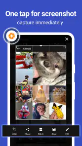 Screen Master Pro screenshot