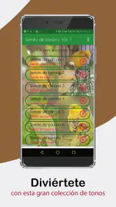 Sonidos de Canarios. Cantos. screenshot