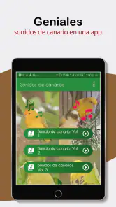 Sonidos de Canarios. Cantos. screenshot