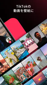 TikTok ダイナミック壁紙 screenshot