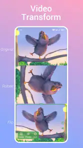 Video Live Wallpaper screenshot