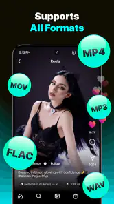 VidKeep: All Video Downloader screenshot