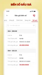 VNeTraffic screenshot