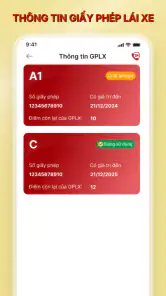 VNeTraffic screenshot