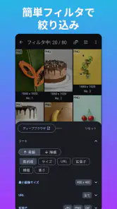 WEB画像検索・ダウンローダ screenshot