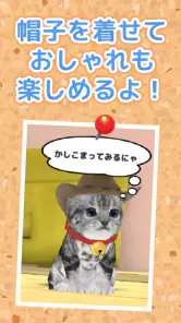 ねこ育成ゲーム - 子猫をのんびり育てる癒しの猫育成ゲーム screenshot