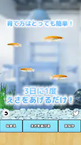 まったりメダカ育成ゲーム screenshot