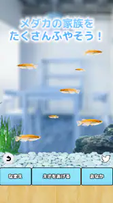 まったりメダカ育成ゲーム screenshot
