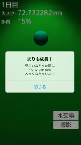 まりも育成ゲーム screenshot