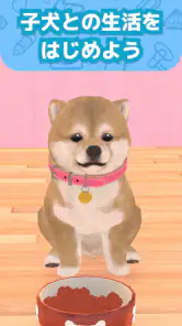 わんこと私 - 子犬のペット育成ゲーム screenshot