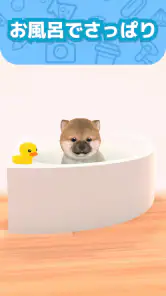 わんこと私 - 子犬のペット育成ゲーム screenshot