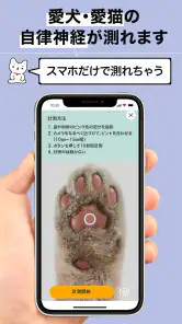 【カルテコ】自律神経の計測・未来予測・健診結果・カルテ screenshot