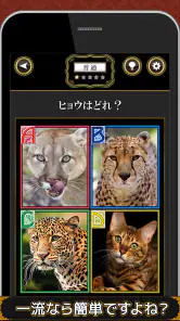全国共通格付けチェック screenshot