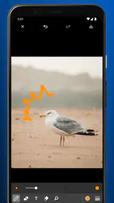 写真ペイント screenshot