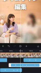 動画ぼかし - モザイク screenshot