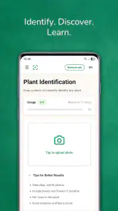 植物 写真 名前 調べる 無料 screenshot