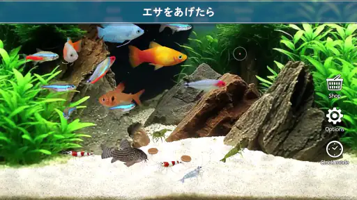 熱帯魚育成「ミニアクア」癒しのアクアリウム体験 screenshot