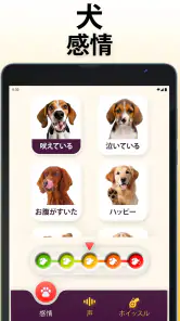 犬語翻訳アプリ: 犬の言葉がわかるアプリ screenshot