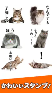 猫スタンプ（実写スタンプ） screenshot