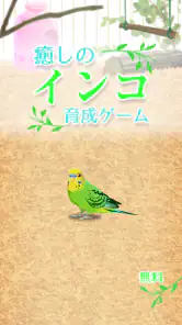 癒しのインコ育成ゲーム screenshot