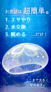 癒しのクラゲ育成ゲーム - 無料放置育成ゲーム screenshot
