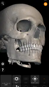 骨格 | 解剖学3D アトラス screenshot
