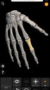 骨格 | 解剖学3D アトラス screenshot