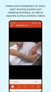 A Manual of Acupuncture 2025 screenshot