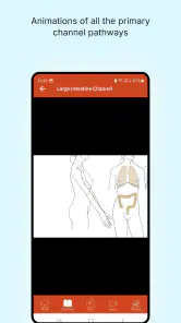 A Manual of Acupuncture 2025 screenshot