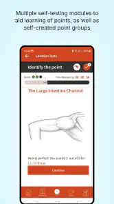 A Manual of Acupuncture 2025 screenshot