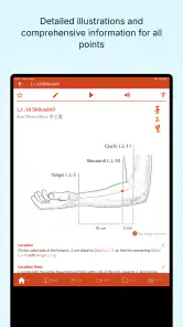 A Manual of Acupuncture 2025 screenshot