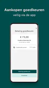 ABN AMRO Creditcard screenshot