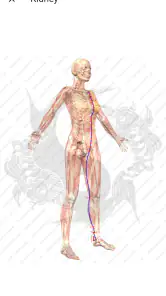 Acupuncture Assistant screenshot