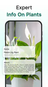 Ai Plant Identifer screenshot