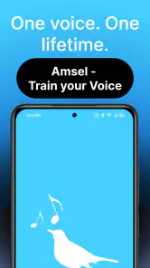 Amsel – Train your Voice screenshot