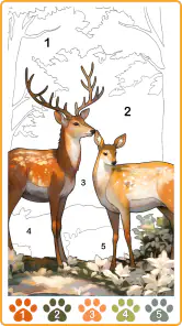 Animal Color, Coloring Games screenshot