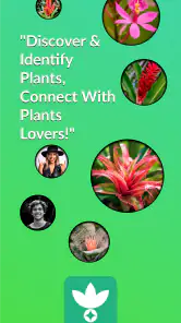 AnyPlant: AI Plant Identifier screenshot