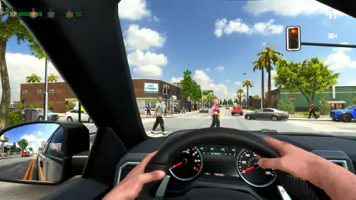 Auto Parkeer Rijschool -Online screenshot