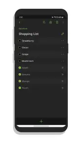 BasicNote: Simpele Notities screenshot
