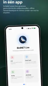 BirdNET Live screenshot