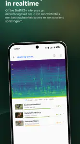 BirdNET Live screenshot