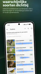 BirdNET Live screenshot
