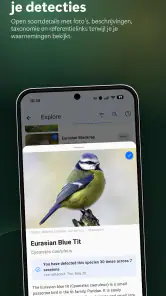 BirdNET Live screenshot