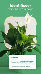 Blossom – Planten Herkennen screenshot