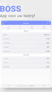 BOSS: boekhouding en comptabil screenshot